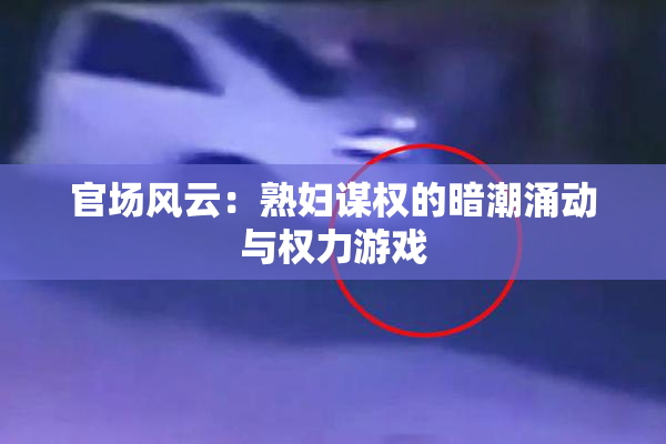 官场风云：熟妇谋权的暗潮涌动与权力游戏