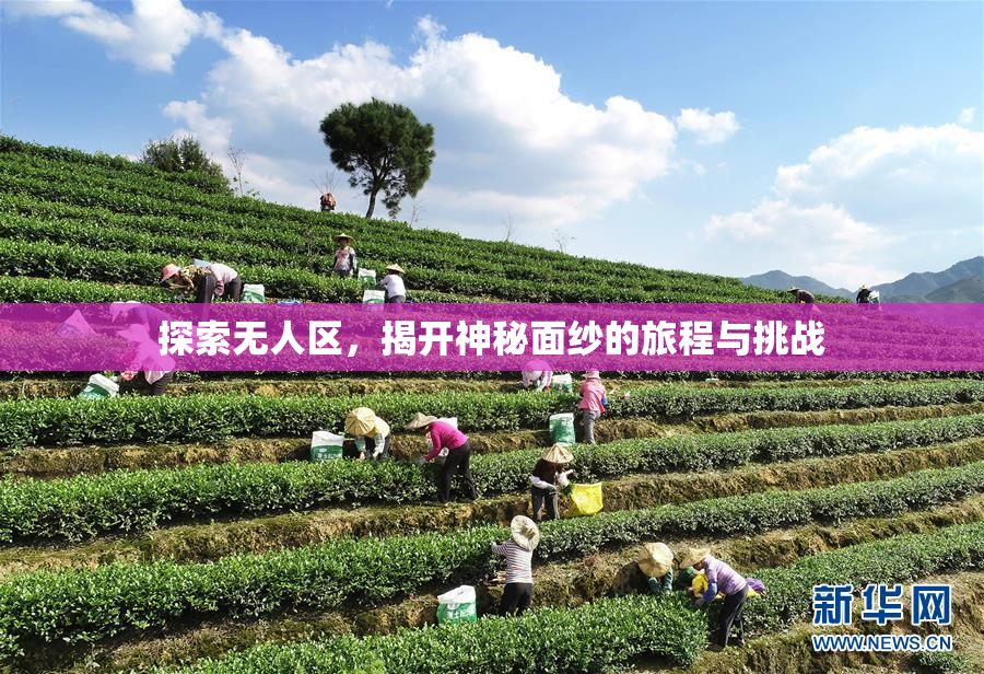 探索无人区，揭开神秘面纱的旅程与挑战