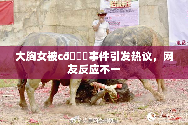 大胸女被c🔞事件引发热议，网友反应不一