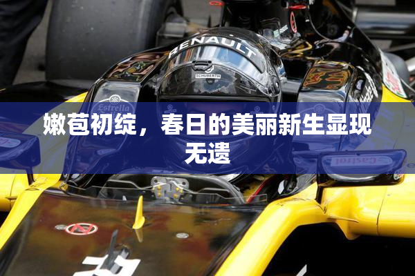 嫩苞初绽，春日的美丽新生显现无遗