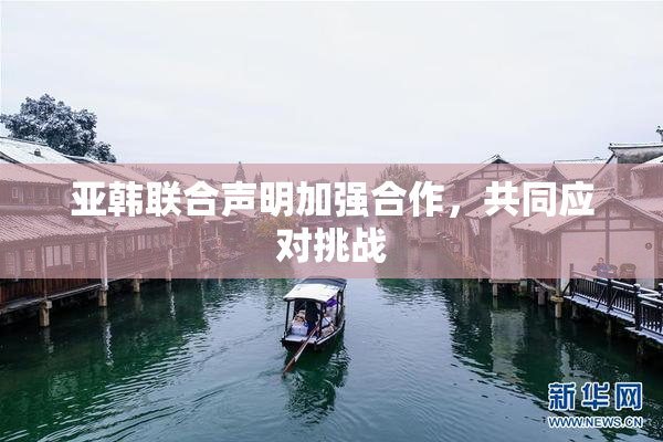 亚韩联合声明加强合作，共同应对挑战