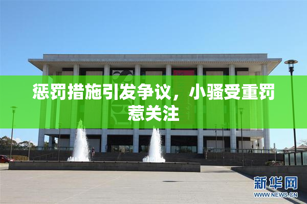 惩罚措施引发争议，小骚受重罚惹关注