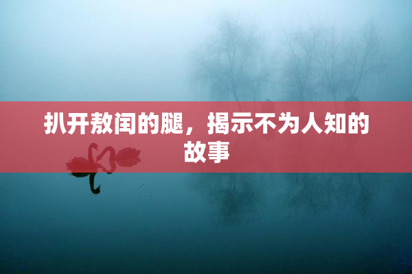 扒开敖闰的腿，揭示不为人知的故事