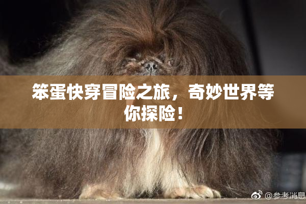 笨蛋快穿冒险之旅，奇妙世界等你探险！
