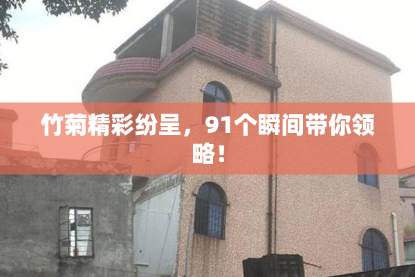 竹菊精彩纷呈，91个瞬间带你领略！