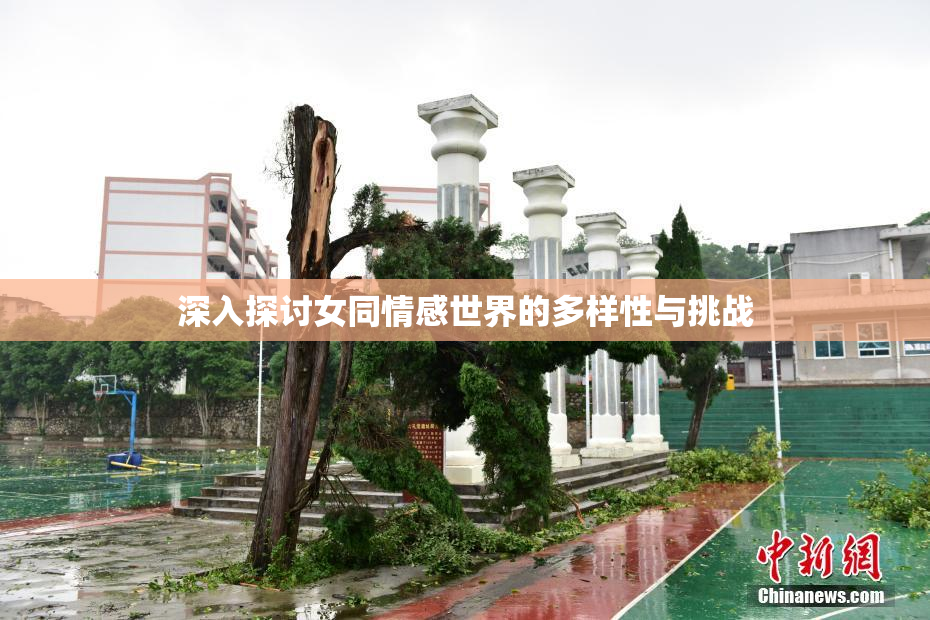 深入探讨女同情感世界的多样性与挑战