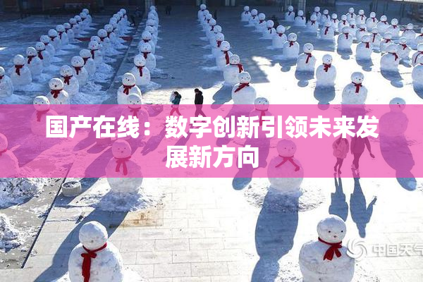 国产在线：数字创新引领未来发展新方向