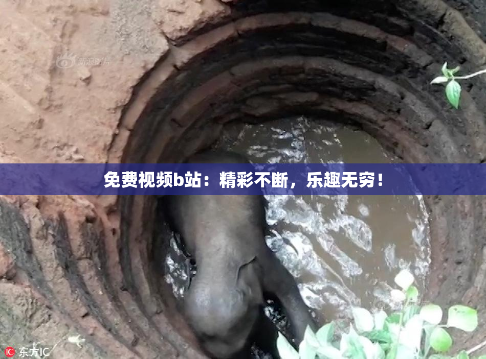 免费视频b站：精彩不断，乐趣无穷！