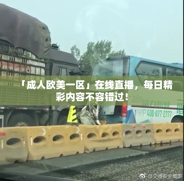 「成人欧美一区」在线直播，每日精彩内容不容错过！