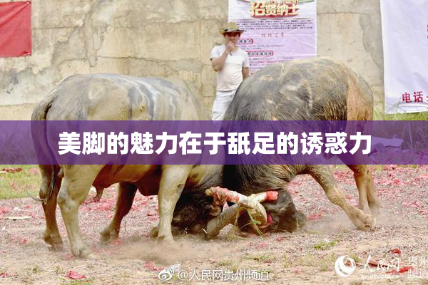 美脚的魅力在于舐足的诱惑力