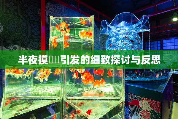 半夜摸妺妺引发的细致探讨与反思