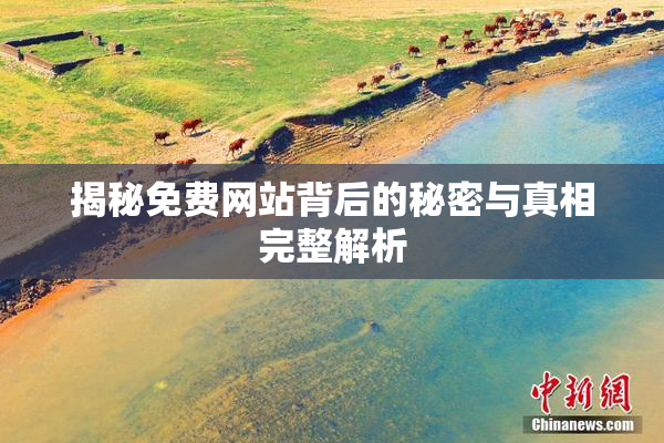 揭秘免费网站背后的秘密与真相完整解析