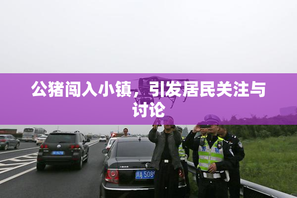 公猪闯入小镇，引发居民关注与讨论