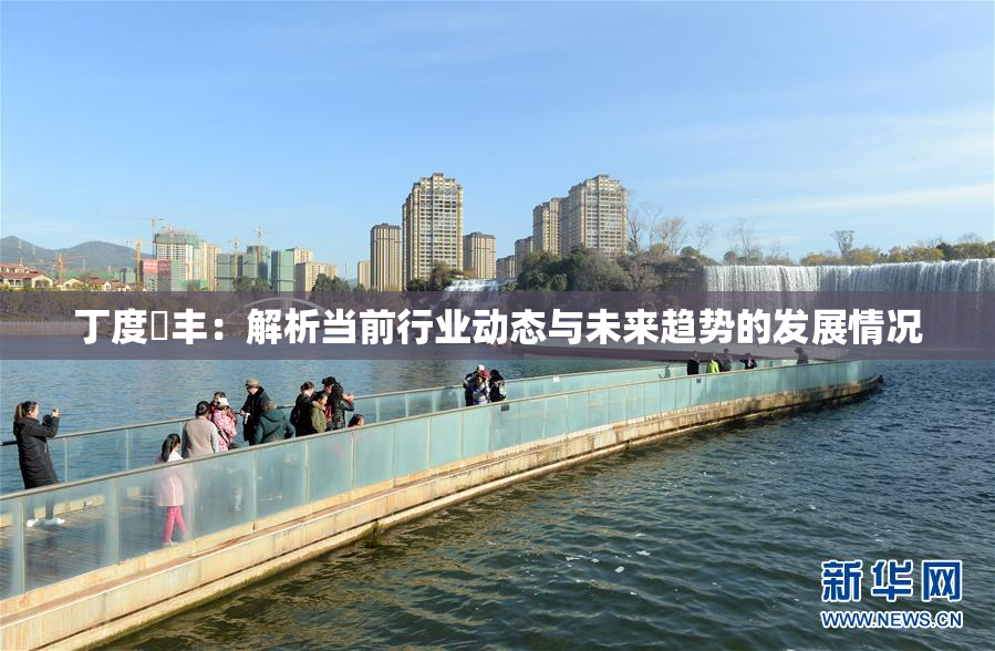 丁度巜丰：解析当前行业动态与未来趋势的发展情况