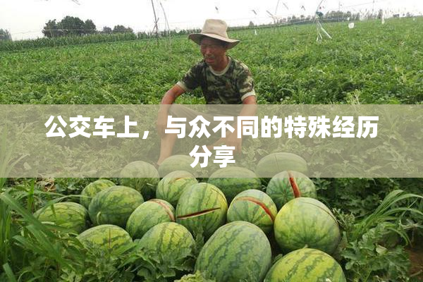 公交车上，与众不同的特殊经历分享