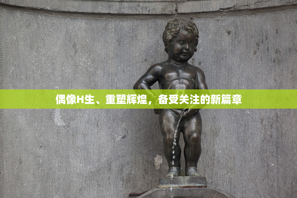 偶像H生、重塑辉煌，备受关注的新篇章