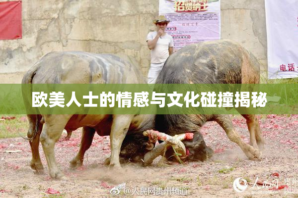 欧美人士的情感与文化碰撞揭秘