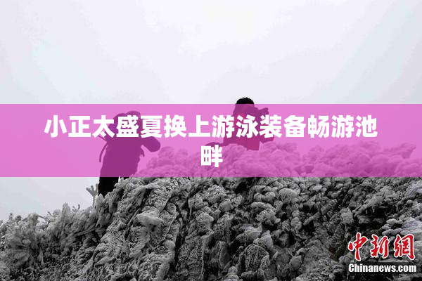 小正太盛夏换上游泳装备畅游池畔