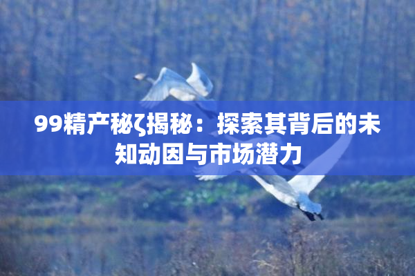 99精产秘ζ揭秘：探索其背后的未知动因与市场潜力