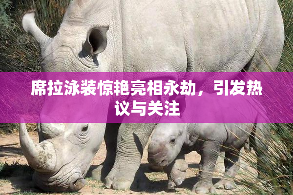 席拉泳装惊艳亮相永劫，引发热议与关注