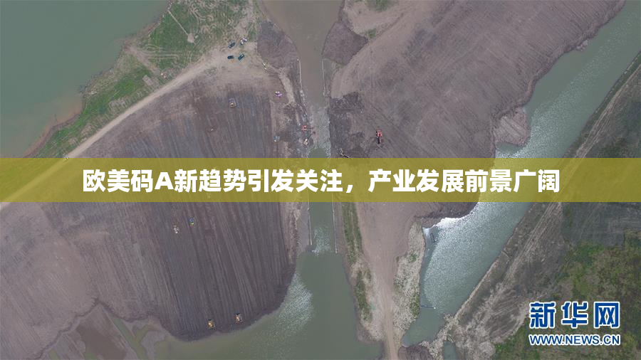 欧美码A新趋势引发关注，产业发展前景广阔
