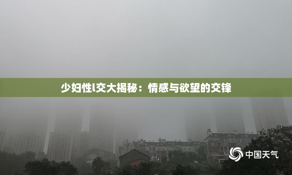 少妇性l交大揭秘：情感与欲望的交锋
