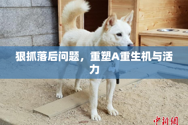 狠抓落后问题，重塑A重生机与活力