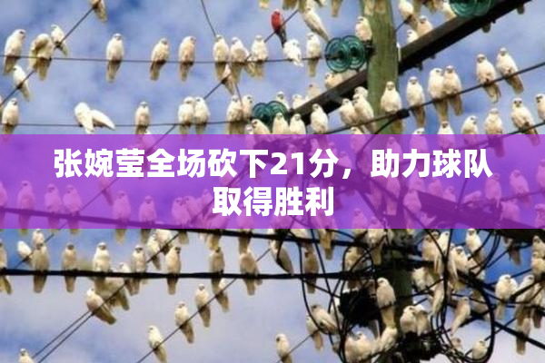 张婉莹全场砍下21分，助力球队取得胜利