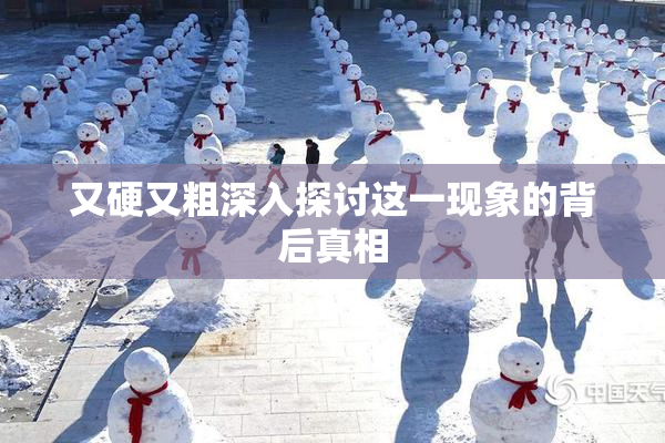 又硬又粗深入探讨这一现象的背后真相