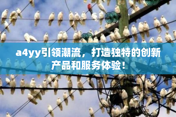 a4yy引领潮流，打造独特的创新产品和服务体验！