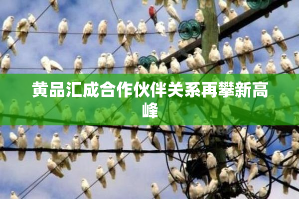 黄品汇成合作伙伴关系再攀新高峰