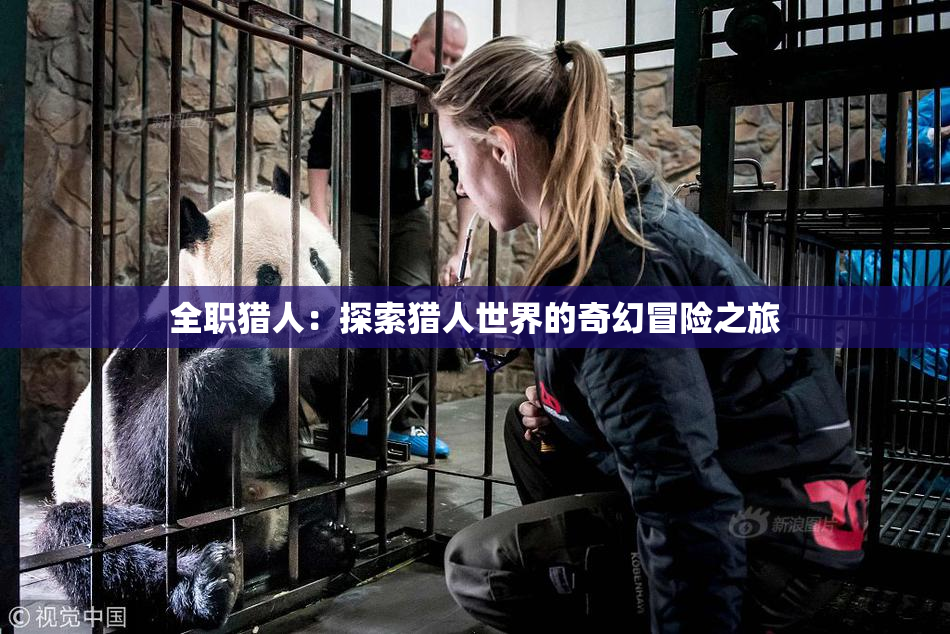 全职猎人：探索猎人世界的奇幻冒险之旅