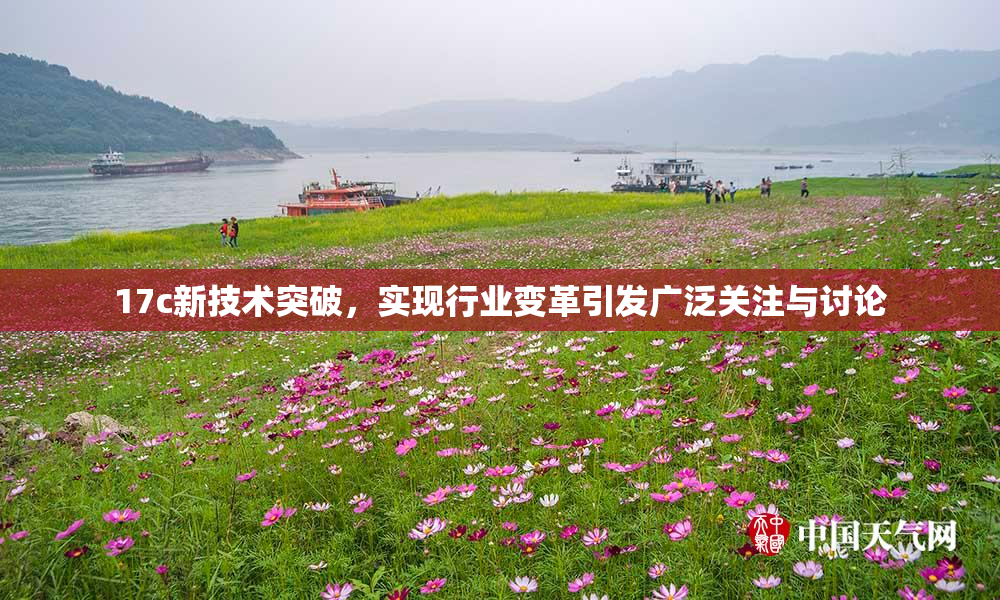 17c新技术突破，实现行业变革引发广泛关注与讨论