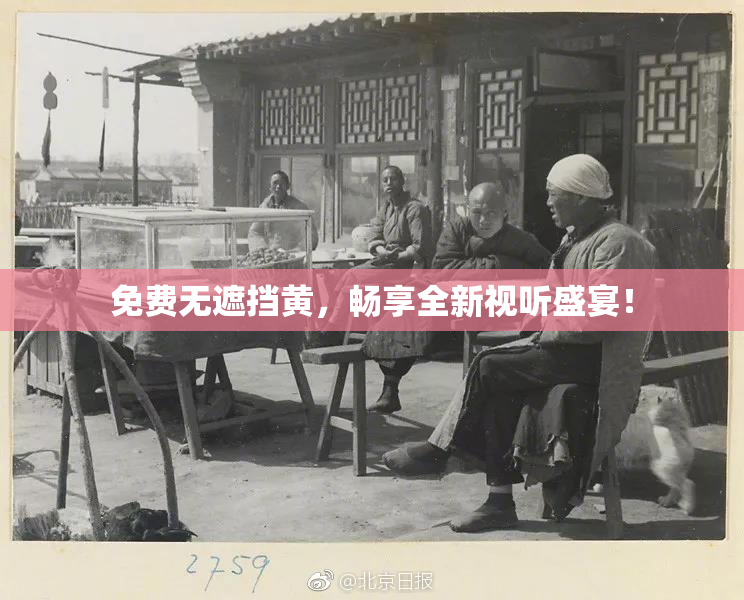 免费无遮挡黄，畅享全新视听盛宴！