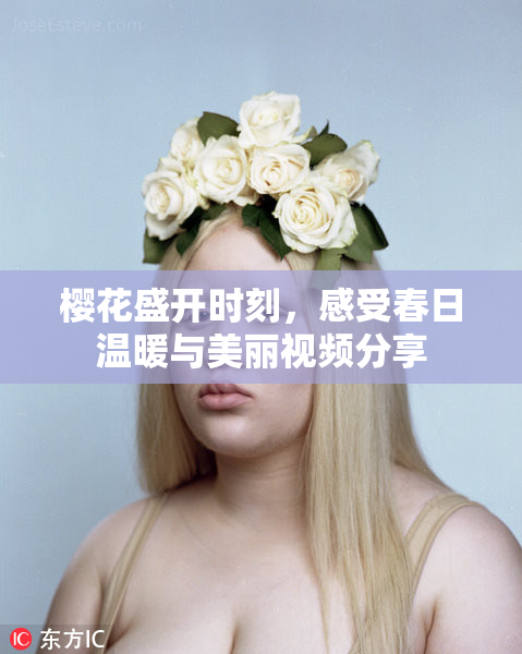 樱花盛开时刻，感受春日温暖与美丽视频分享