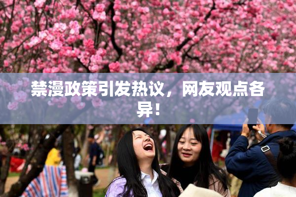 禁漫政策引发热议，网友观点各异！