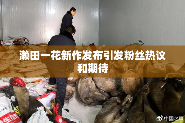 濑田一花新作发布引发粉丝热议和期待