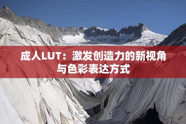 成人LUT：激发创造力的新视角与色彩表达方式