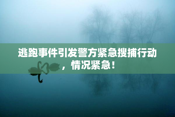 逃跑事件引发警方紧急搜捕行动，情况紧急！