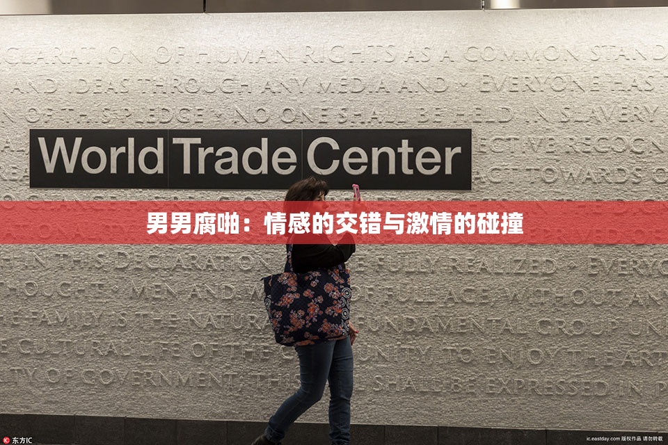 男男腐啪：情感的交错与激情的碰撞