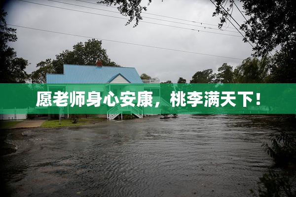 愿老师身心安康，桃李满天下！