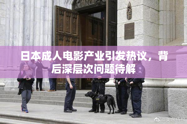 日本成人电影产业引发热议，背后深层次问题待解