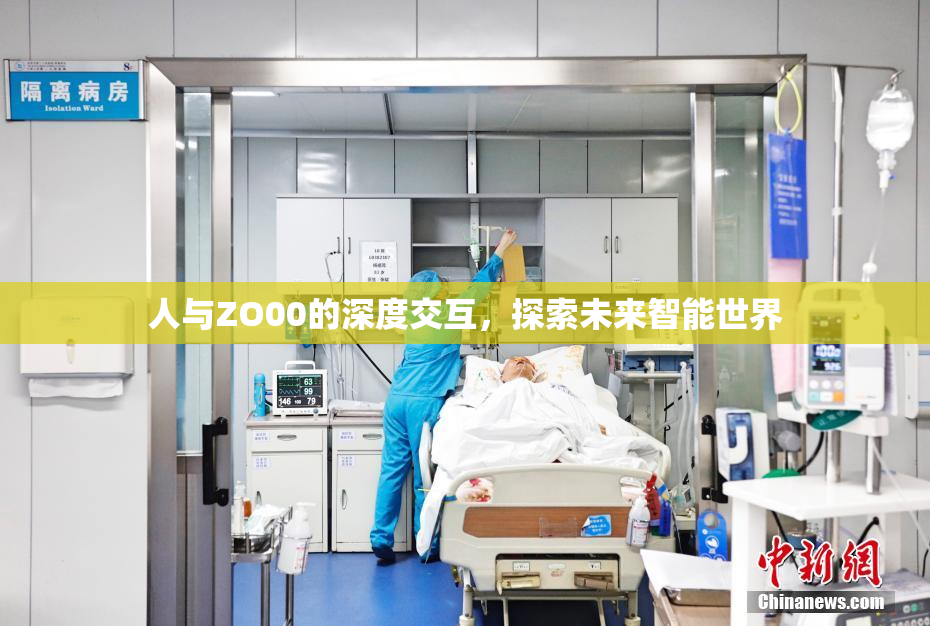 人与ZO00的深度交互，探索未来智能世界