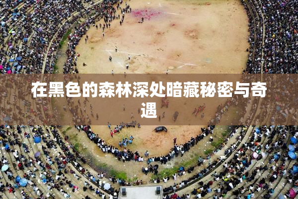在黑色的森林深处暗藏秘密与奇遇