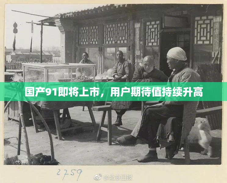 国产91即将上市，用户期待值持续升高