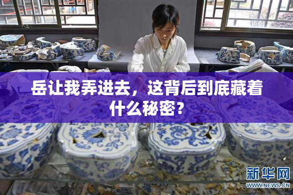 岳让我弄进去，这背后到底藏着什么秘密？