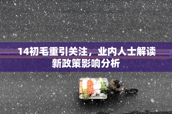 14初毛重引关注，业内人士解读新政策影响分析