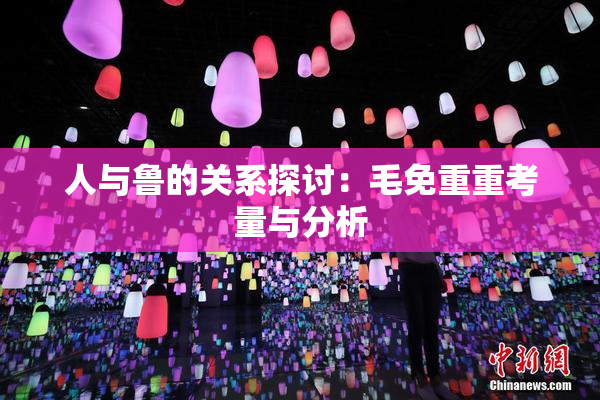 人与鲁的关系探讨：毛免重重考量与分析