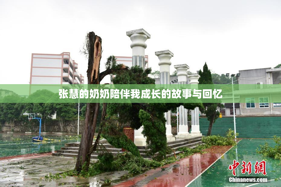 张慧的奶奶陪伴我成长的故事与回忆