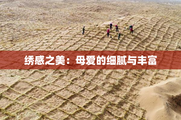 绣感之美：母爱的细腻与丰富